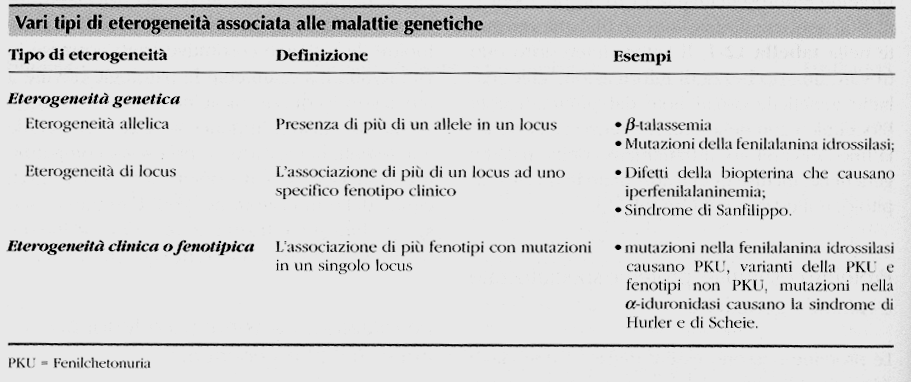 Relazioni tra Genotipo e