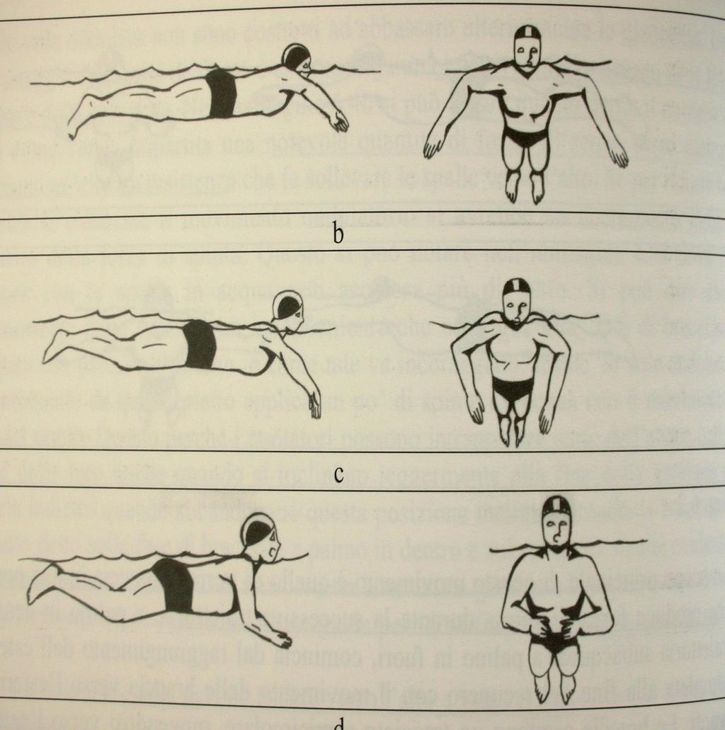 Posizione del corpo e respirazione Durante le fasi propulsive il tronco è orizzontale (testa immersa) Durante il recupero delle gambe dalle spalle alle ginocchia una linea retta