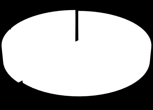 più ampi poteri e responsabilità più circoscritte per gli altri Amministratori Le deleghe assegnate agli Amministratori sono differenti e parziali, ma il potere decisionale è