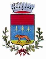 COMUNE DI VILLARICCA PROVINCIA DI NAPOLI ORIGINALE DI DELIBERAZIONE DEL CONSIGLIO COMUNALE N. 51 DEL 24.07.