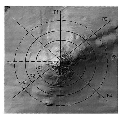 Fig. 1 - DTM del Vulcano Stromboli con indicazione della navigazione e dei profili topografici (P1 e P2) Alla luce di considerazioni di seguito riportate, il programma originario degli scoppi è stato