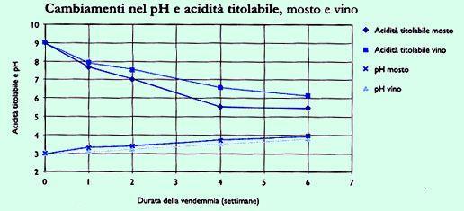EVOLUZIONI DELL ACIDITA E DEL PH Le variazioni dell acidità e del PH che si producono durante la maturazione e la fermentazione, possono essere osservate nel seguente grafico, elaborato in base ai