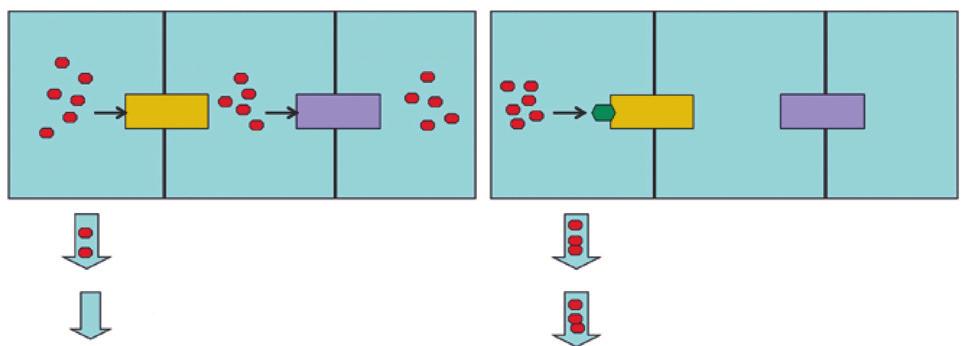 Gli SGLT2i nella pratica clinica A B Lume Tubulo prossimale S1 Vaso sanguigno Lume Tubulo prossimale S1 Vaso sanguigno SGLT2 GLUT2 SGLT2 GLUT2 glucosio glucosio Altri meccanismi di trasporto a valle