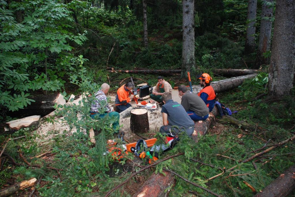 Operatore forestale responsabile Percorso formativo Corsi Base per Operatore Forestale durata minima di 40 ore (almeno 32 ore pratiche) prova finale (istruttore