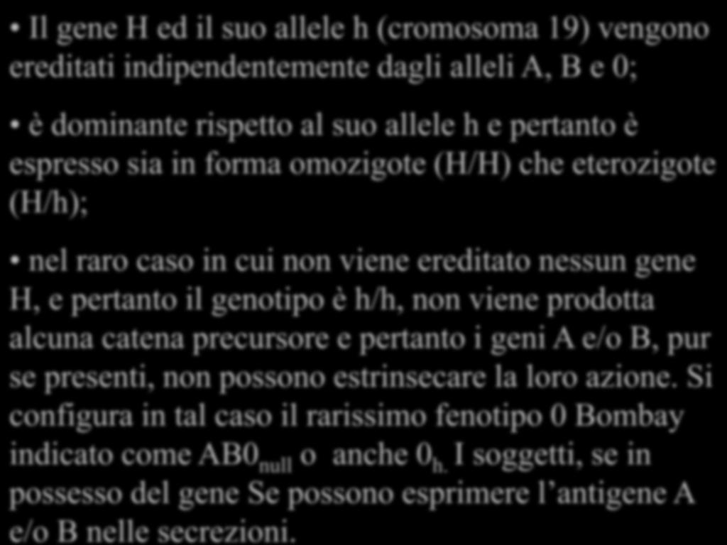 Il gene H ed il suo allele h (cromosoma 19) vengono ereditati indipendentemente dagli alleli A, B e 0; nel raro caso in cui non viene ereditato nessun gene H, e pertanto il genotipo è h/h, non viene