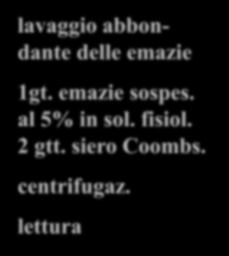 centrifugaz. lettura Provetta lavaggio abbondante delle emazie 1gt.