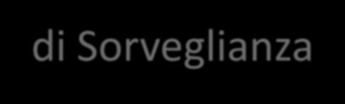 Aggiornamento attività 2012 (1/2) Audit di sistema Priorità di audit previste dalla Strategia: sistema di gestione e controllo dell Autorità di gestione e dell