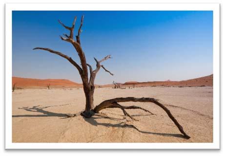3 Giorno 21 ottobre WINDHOEK - NAMIB DESERT In mattinata incontrerete la vostra guida e partirete per il deserto del Namib.