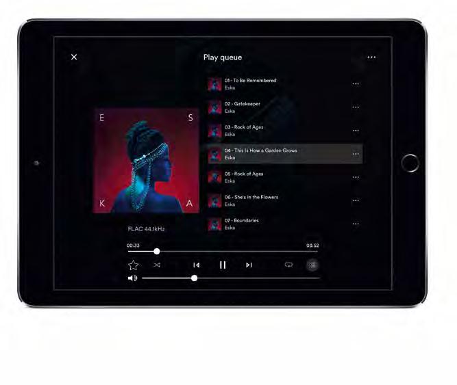 La vostra musica digitale Spotify Connect Multiroom Ready AirPlay TIDAL Bluetooth (aptx ) USB Caratteristiche Funzioni Spotify Connect Supporto nativo di Spotify per riprodurre in streaming milioni