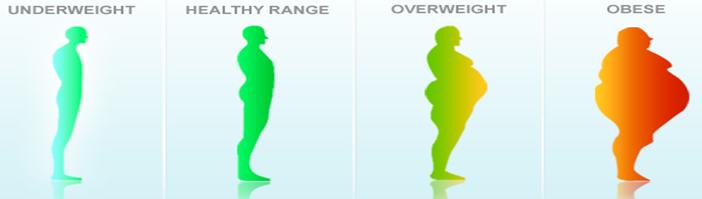 BMI body mass index Peso