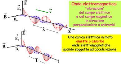 3 Onde trasversali Se io prendo in considerazione un onda generata da un sasso lanciato su uno stagno osservo che mentre le onde si propagano sulla superficie la perturbazione è perpendicolare alla