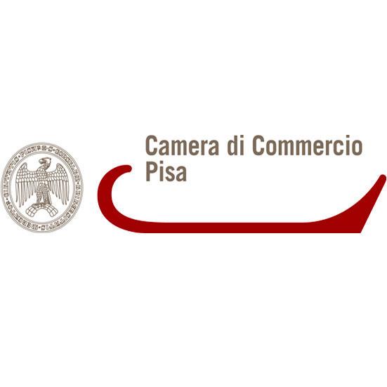 Camera di Commercio Industria Artigianato e Agricoltura di PISA Registro Imprese - VISURA DI EVASIONE DATI ANAGRAFICI Indirizzo Sede legale PONSACCO (PI) VIA TORINO 25 CAP 56038 Indirizzo PEC