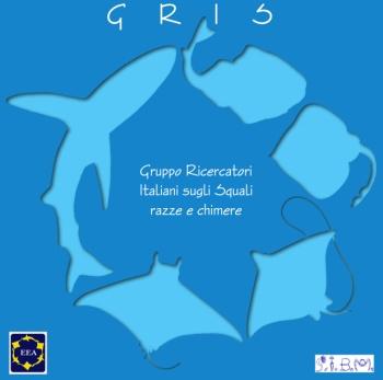 Verbale della riunione del Gruppo Ricercatori Italiani sugli Squali, Razze e Chimere (GRIS) Marina di Camerota (SA), 8 giugno 2012 La riunione ha avuto luogo il giorno 8 giugno 2012 alle ore 9:00.