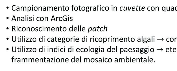 Influ Valutazione dell influenza delle variabili morfologiche