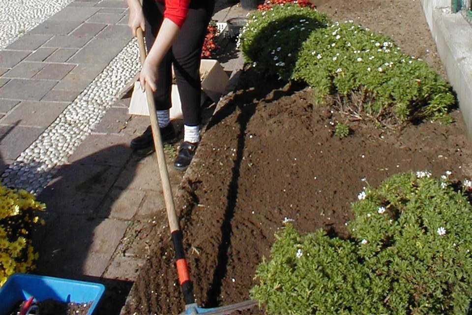 trapianti, diserbi manuali, raccolta,