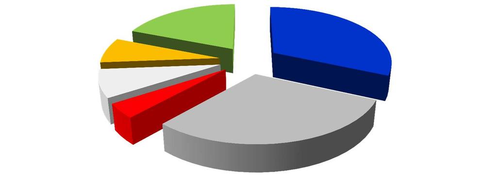 Progetti per tipologia 19,0% 7,3% 31,7% 8,0% 4,1% 30,0% Formazione Incentivi alle