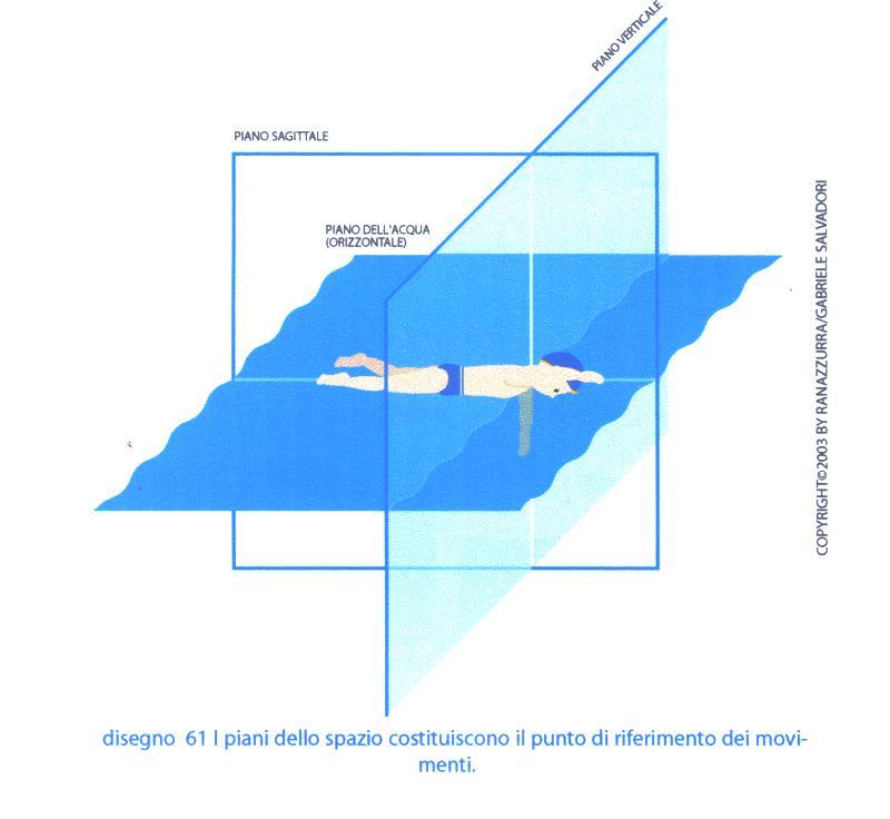 La costruzione dello spazio in acqua I sei livelli della costruzione del nuotatore 1. Galleggiamento 2. Corpo proiettile (il tuffo) 3.