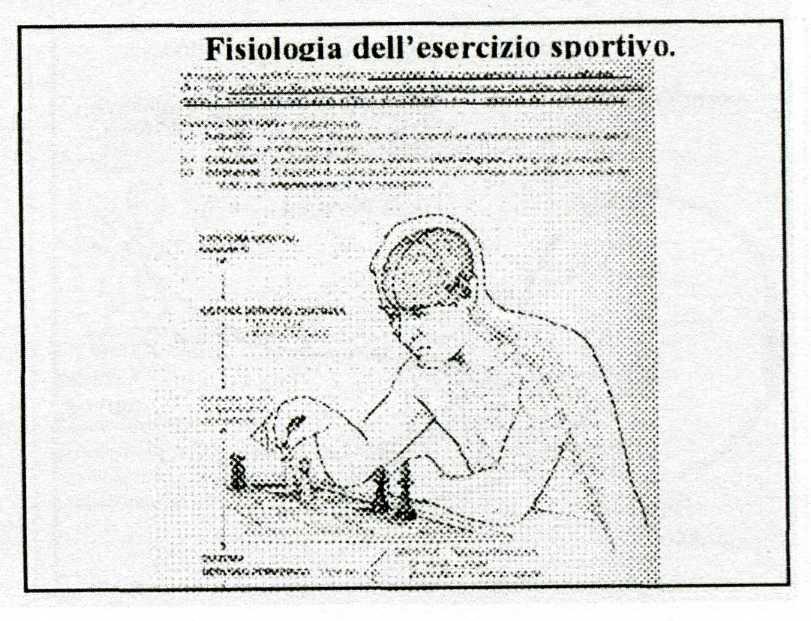 La teoria ideo-motoria del XIX sec.