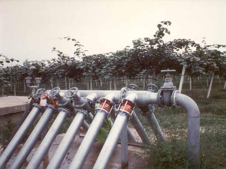 Magnano è infatti la prima azienda dell Italia nord-occidentale ad introdurre l irrigazione a goccia con lo storico sistema denominato bi-wall.
