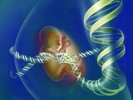 Diagnostica immunoematologica LIMITI DEL METODO: PCR REAL TIME Sensibilità 99-100 % FALSI NEGATIVI (DNA fetale scarso) 0,05% (Transfusion 2013) Specificità 98-99% FALSI POSITIVI (contaminazioni,