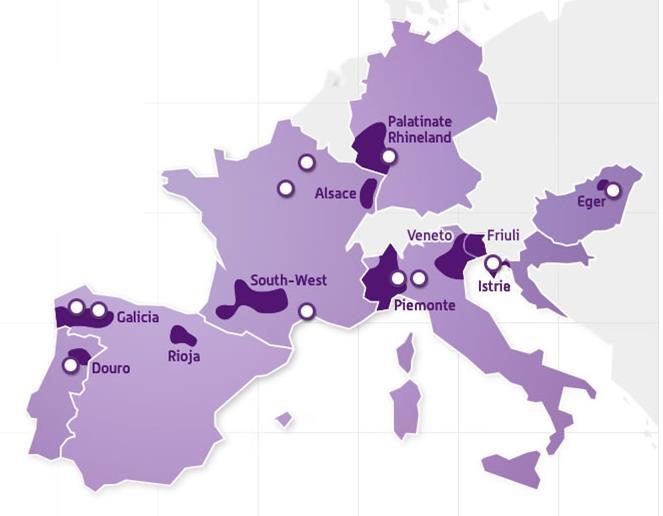 I 10 agenti facilitatore del progetto WiNetwork avevano il compito di raccogliere informazioni dalla pratica per rilevare l'innovazione.