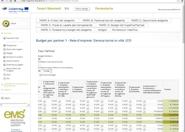 Nella parte alta della tabella del budget del partner, si trovano le informazioni relative all utilizzo di tassi forfettari.