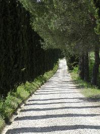 Insieme alla cuoca del nostro agriturismo cuciniamo un menu toscano e nel tempo libero ci godiamo la bella casa colonica nella quale