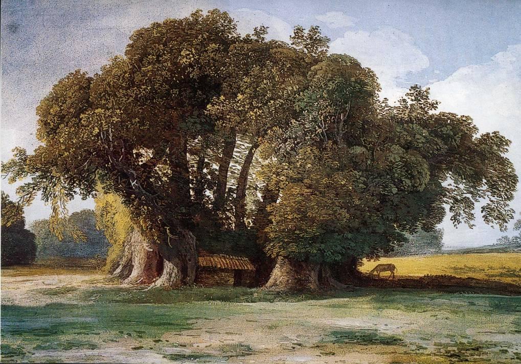 Alexander von Humboldt (1769 1859) fu il primo ad utilizzare la definizione di monumento naturale per gli alberi più vecchi e maestosi che incontrò nel corso della sua spedizione scientifica in