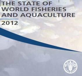 Aquaculture Cattura - Capture SOSTENIBILITA DURABILITE un affare