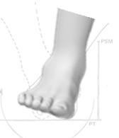 Movimento che avviene sul piano sagittale, durante il quale la parte distale del piede si avvicina dalla tibia.