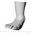 L asse di movimento passa attraverso il piede da posteriore, laterale e