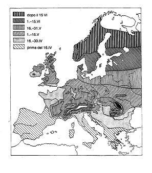 Esempio di carta tracciata a