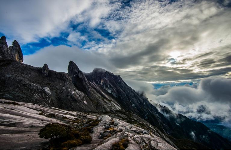 The lost Borneo Vieni a scoprire una delle più grandi isole del mondo, completamente ricoperta di foresta pluviale ed ancora parzialmente inesplorata, il