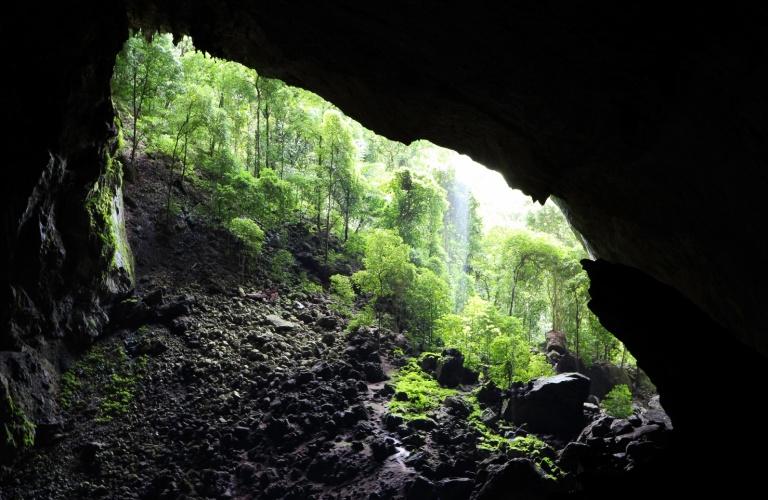 grande ed affascinante biodiversità del Monte Kinabalu, per continuare poi nel profondo della foresta tropicale, popolata dagli oranghi e da migliaia di