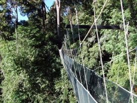 parte per le sorgenti calde di Poring Hot Spring.