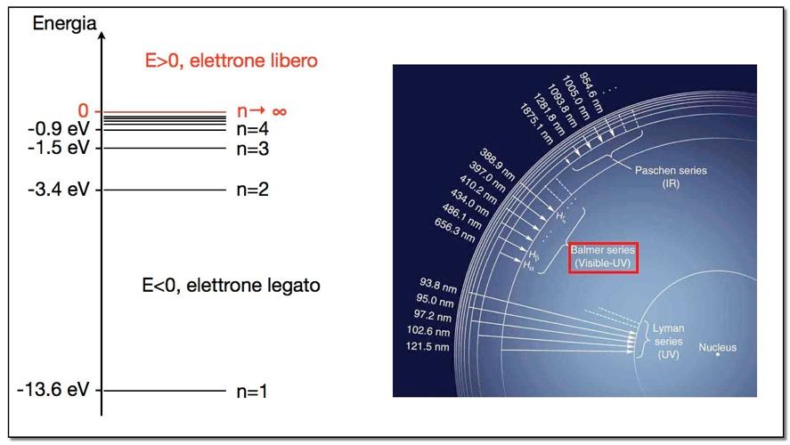 L atomo di idrogeno Le energie dei livelli sono E n = 13.6 ev 1 n 2 n = 1, 2,.