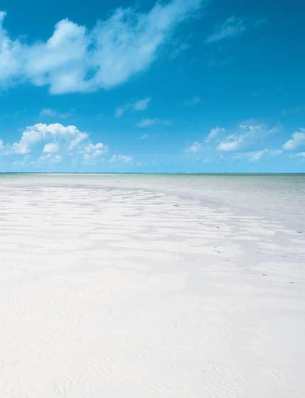 Jumbo Watamu Incantevole resort, esclusiva InViaggi per il mercato italiano, immerso in un ambiente naturale incontaminato circondato dal verde di palme e bougainville.