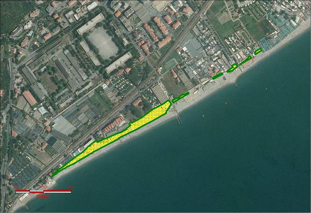 6. Delimitazione delle aree da assoggettare alle Norme di Piano In alcune celle litorali della spiaggia di Vadino sono state individuate ASR finalizzate alla tutela e al recupero della vegetazione