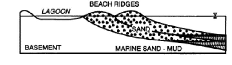 BEACH RIDGE Il termine beach ridge è molto dibattuto in bibliografia e molti autori hanno spiegato diverse cause e meccanismi di formazione Sono morfologie definite mound shaped che si sviluppano