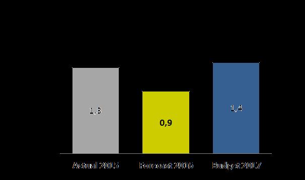 12 Focus investimenti e ammortamenti Il piano degli investimenti per il 2017 è focalizzato sul rifacimento dei sistemi informativi