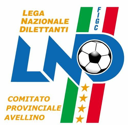 Federazione Italiana Giuoco Calcio Lega Nazionale Dilettanti COMITATO PROVINCIALE AVELLINO via Carlo Del Balzo, 81 83100 Avellino Stagione Sportiva 2006/2007 Tel.