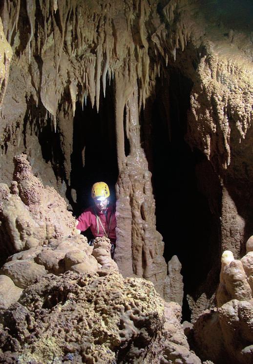 Fig. 8 Ambiente interno della grotta