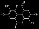 X, xylose; X2, xylobiose; X3, xylotriose; X6, xylohexaose; C2, cellobiose (internal standard).