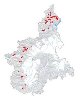 SIFOR - Sistema Informativo Forestale Regionale Scheda di dettaglio del Tipo Forestale QV20X - Querco-tiglieto Superficie totale (ha): 2074 Percentuale su superficie boscata regionale (%): 0,3