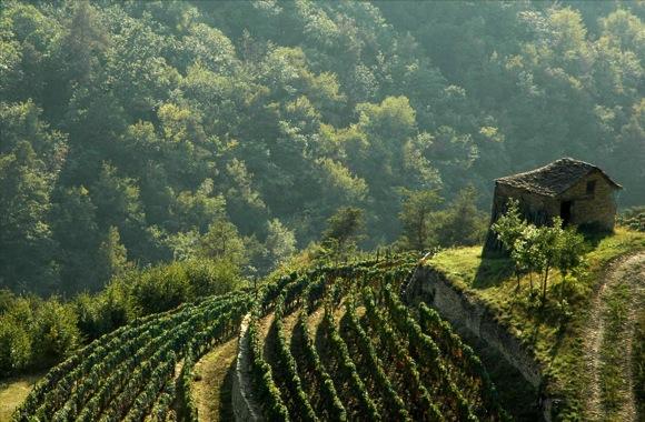 Gruppo di lavoro paesaggio Rete Rurale Nazionale Attività dell Osservatorio Nazionale sul Paesaggio Rurale 1. Strategie ed azioni per la pianificazione e gestione 2.