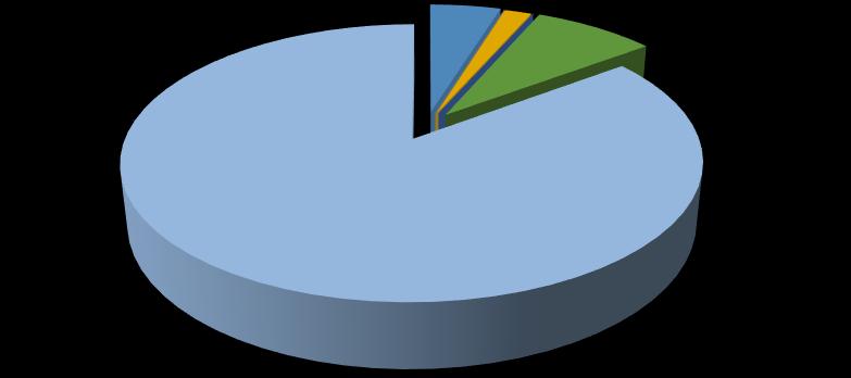 AZIONARIO EUROPA 0% AZIONARIO USA 5%