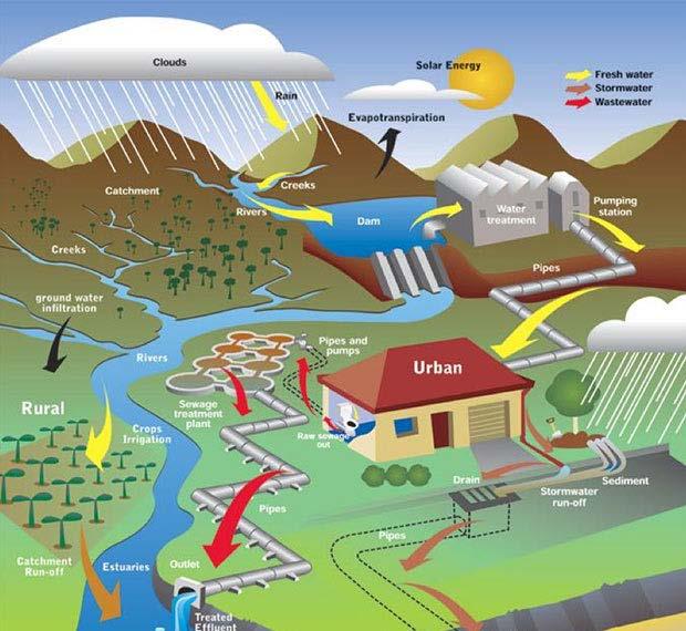 Cycle Assessment e gestione strategica