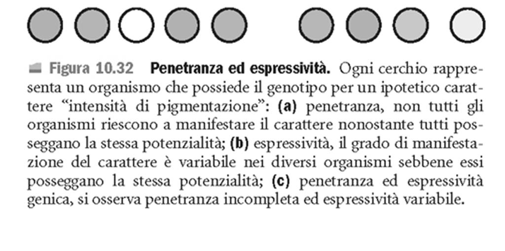 manifestazione/espressione fenotipica di un certo genotipo, in un certo individuo Alleli con penetranza completa