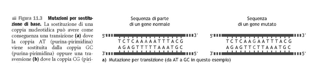 Mutazioni puntiformi Sostituzione di base Inserzione delezione Sostituzione di base: