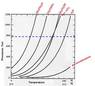Pressione atmosferica normale Composti con calori di vaporizzazione più alti hanno pressioni di vapore più basse e quindi serve più energia per vaporizzarli (p.e. maggiore) I liquidi basso-bollenti (p.